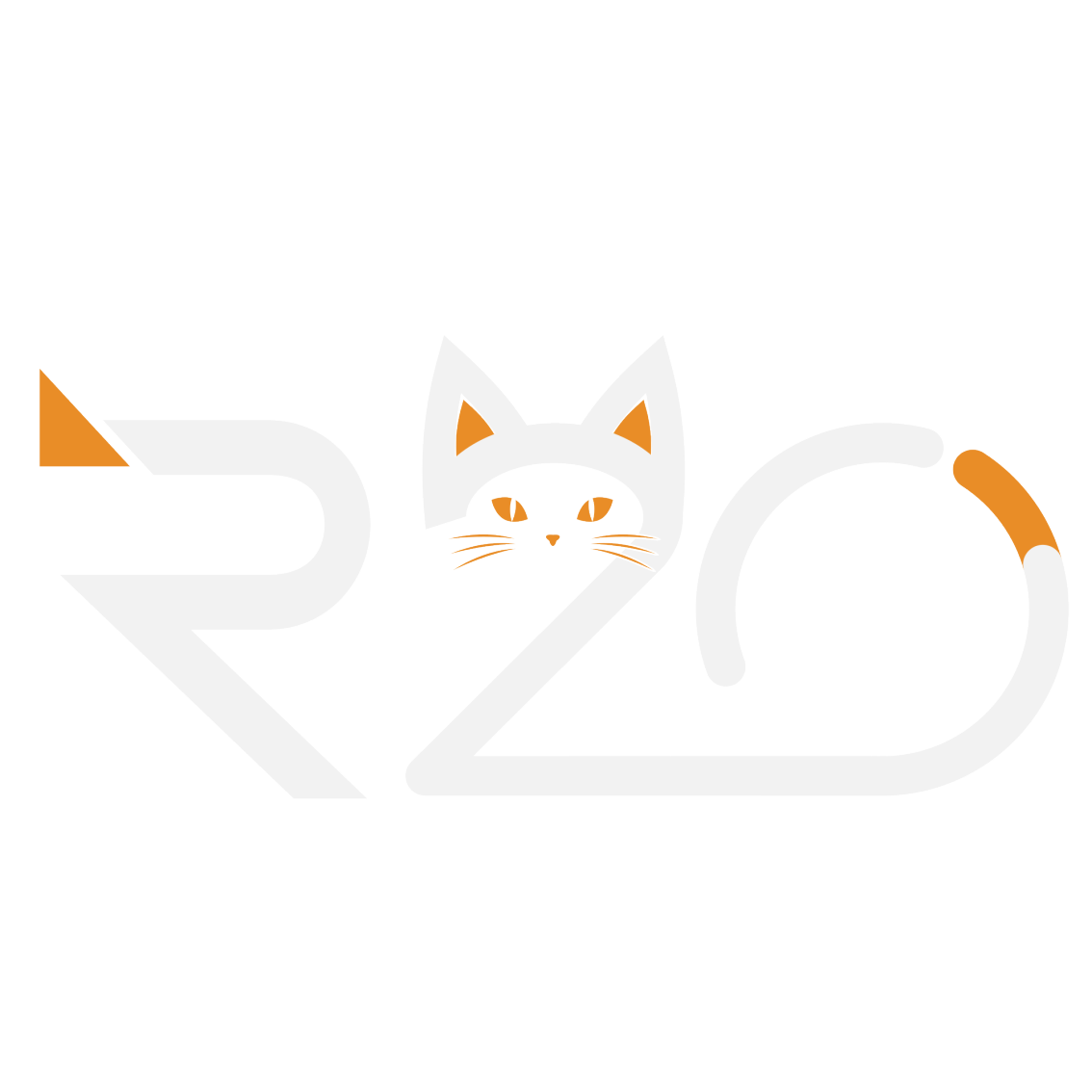 R20